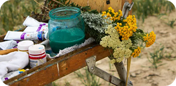 Herbst im Garten